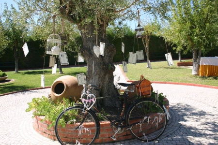 Imagem da loja: Quinta Nova